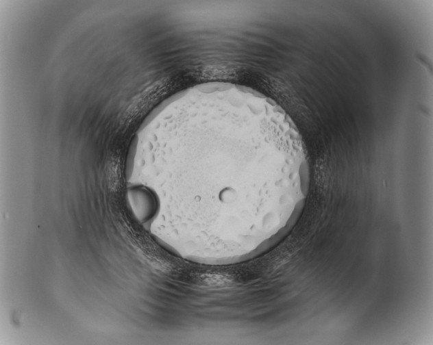X0000100770741200807101751