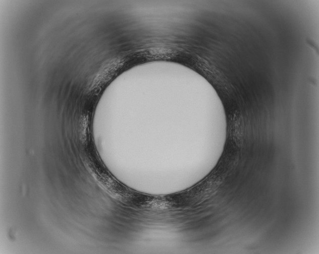 X0000100770742200807101751