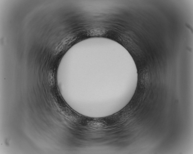 X0000100770743200807101751