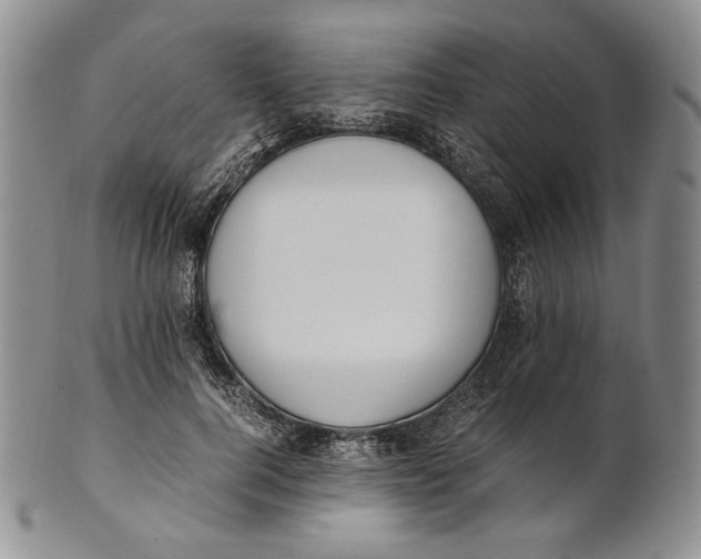 X0000100770744200807101751