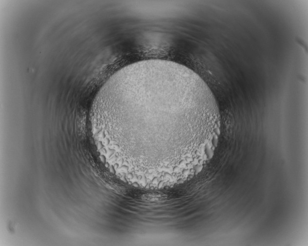 X0000100770745200807101751