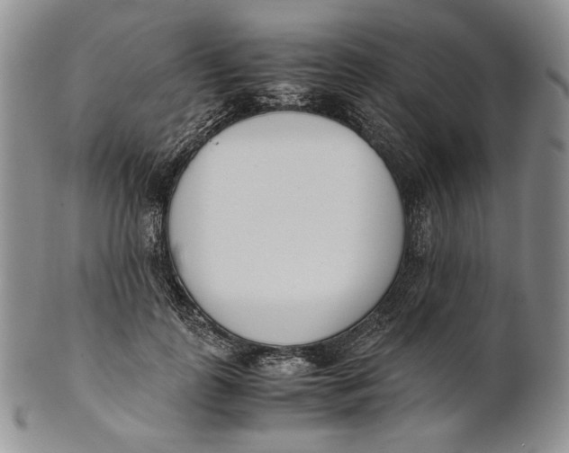 X0000100770747200807101751