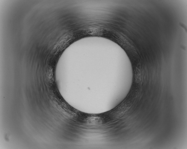 X0000100770748200807101751