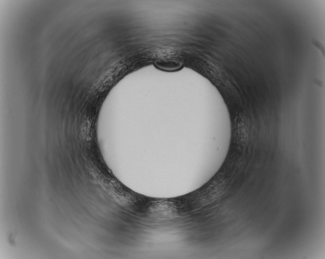 X0000100770750200807101751