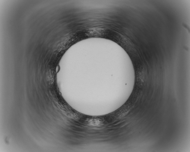 X0000100770751200807101751