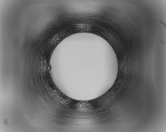 X0000100770752200807101751