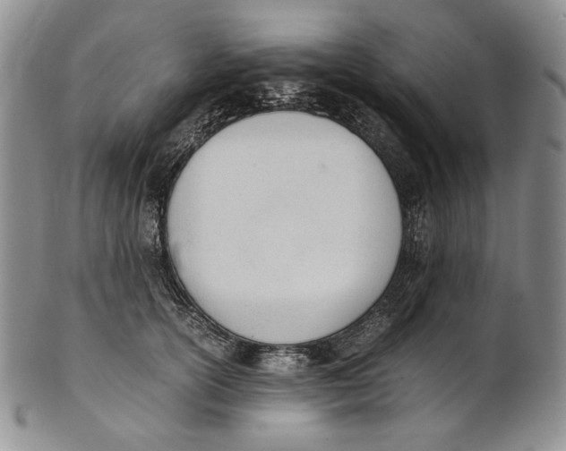 X0000100770754200807101751