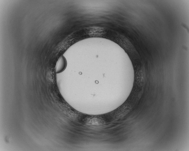 X0000100770755200807101751