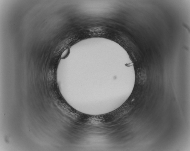 X0000100770756200807101751