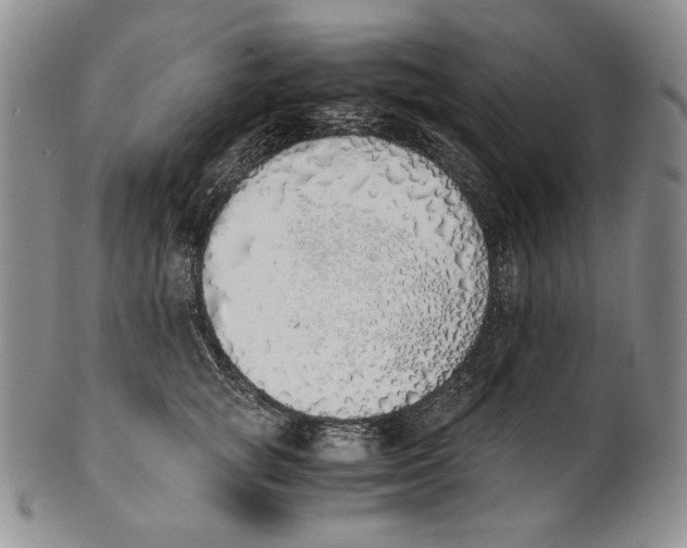 X0000100770757200807101751
