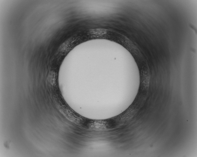 X0000100770758200807101751