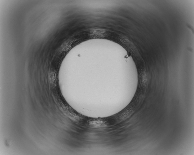 X0000100770759200807101751