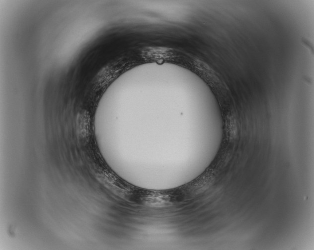 X0000100770760200807101751
