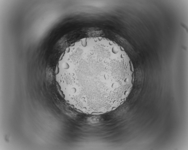 X0000100770761200807101751