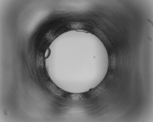 X0000100770762200807101751