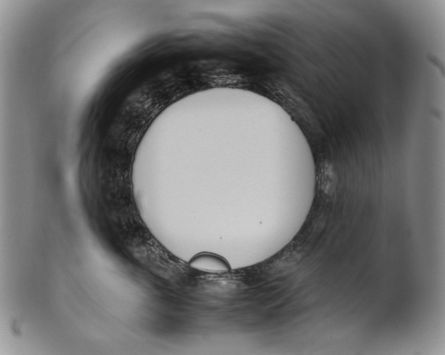 X0000100770763200807101751