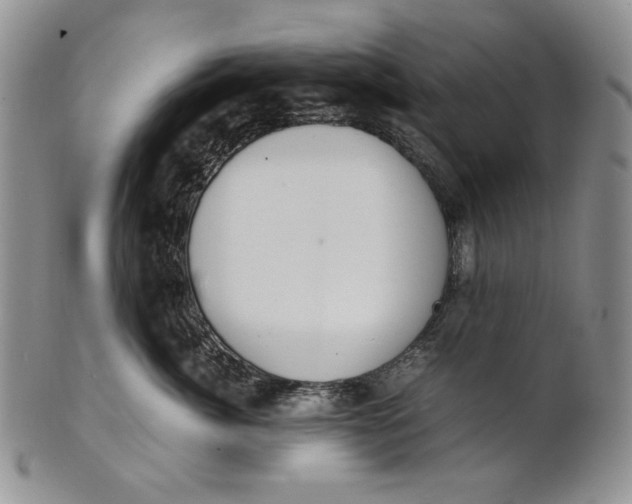 X0000100770764200807101751