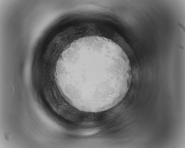 X0000100770765200807101751