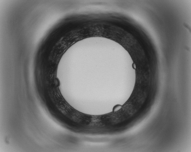 X0000100770766200807101751