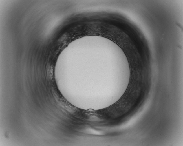 X0000100770767200807101751