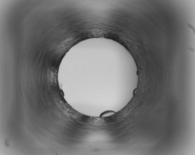 X0000100770768200807101751