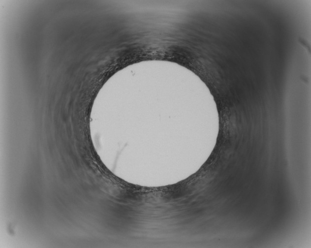 X0000100770769200807101750