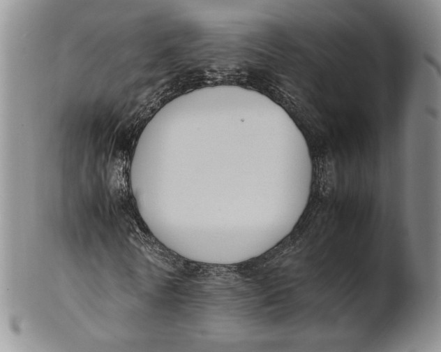 X0000100770770200807101750
