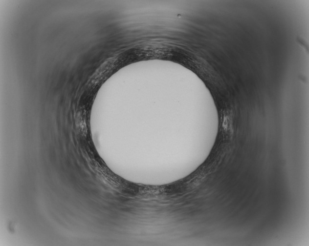 X0000100770771200807101750