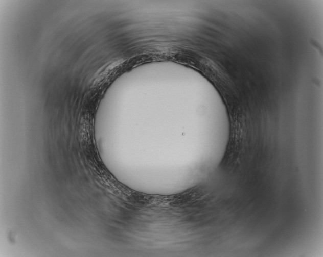 X0000100770773200807101750