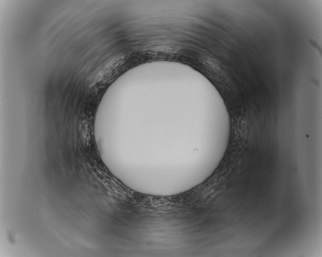 X0000100770774200807101750