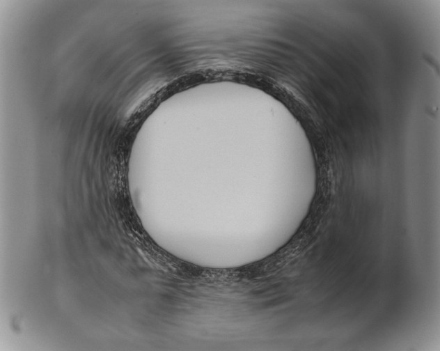 X0000100770775200807101750