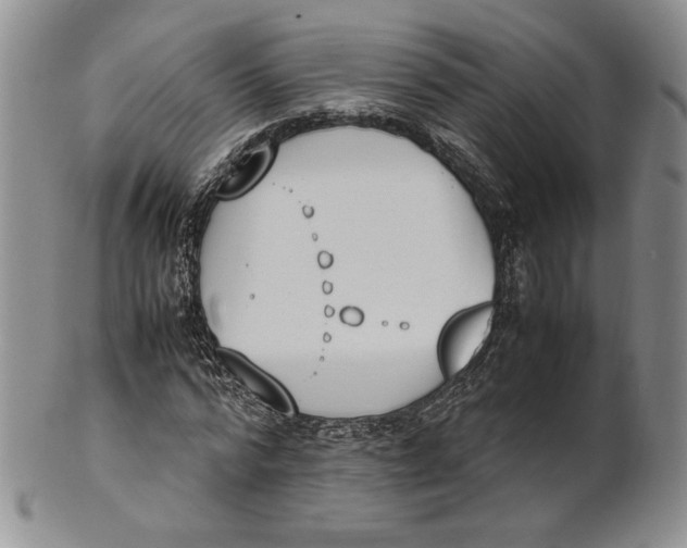 X0000100770776200807101750