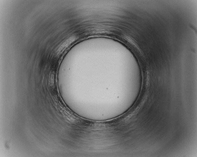 X0000100770777200807101750