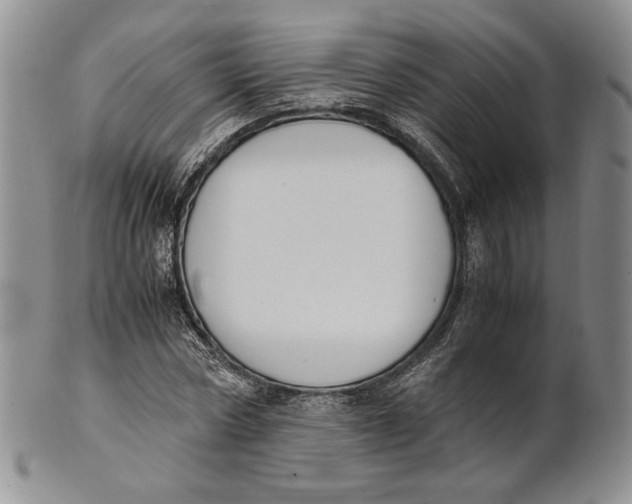 X0000100770778200807101750