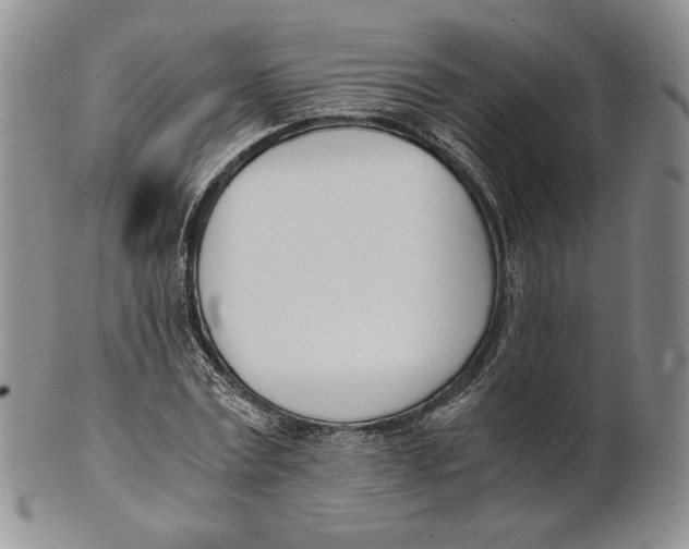 X0000100770779200807101750