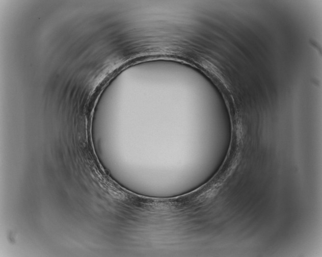 X0000100770781200807101750