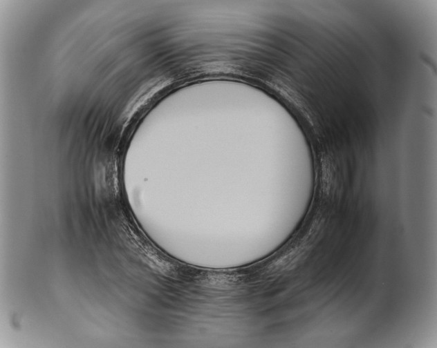 X0000100770782200807101750