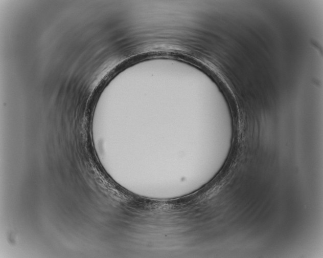 X0000100770783200807101750
