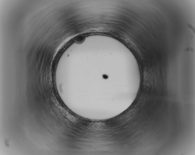 X0000100770784200807101750