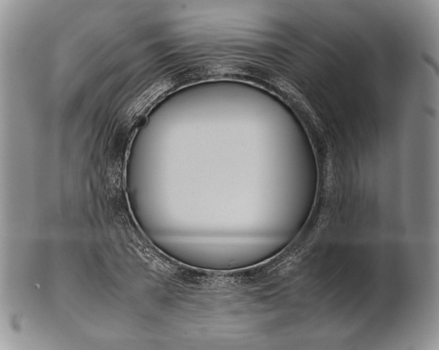 X0000100770785200807101750