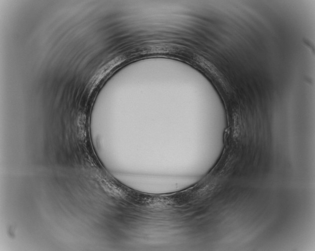 X0000100770786200807101750