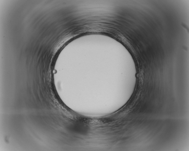 X0000100770787200807101750