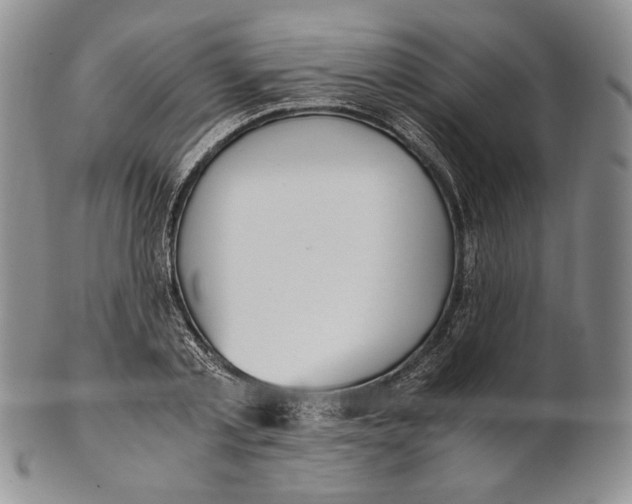 X0000100770789200807101750