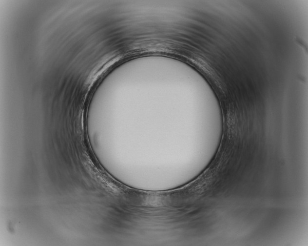 X0000100770790200807101750