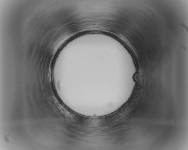 X0000100770791200807101750