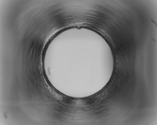X0000100770792200807101750