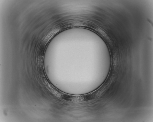 X0000100770793200807101750