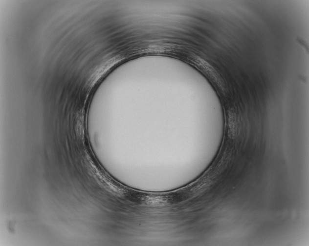 X0000100770794200807101750