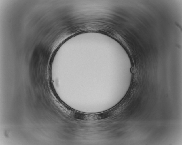 X0000100770795200807101750