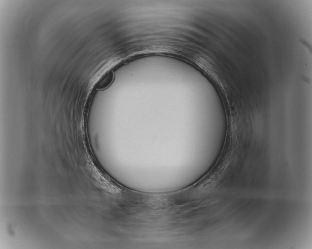 X0000100770797200807101750